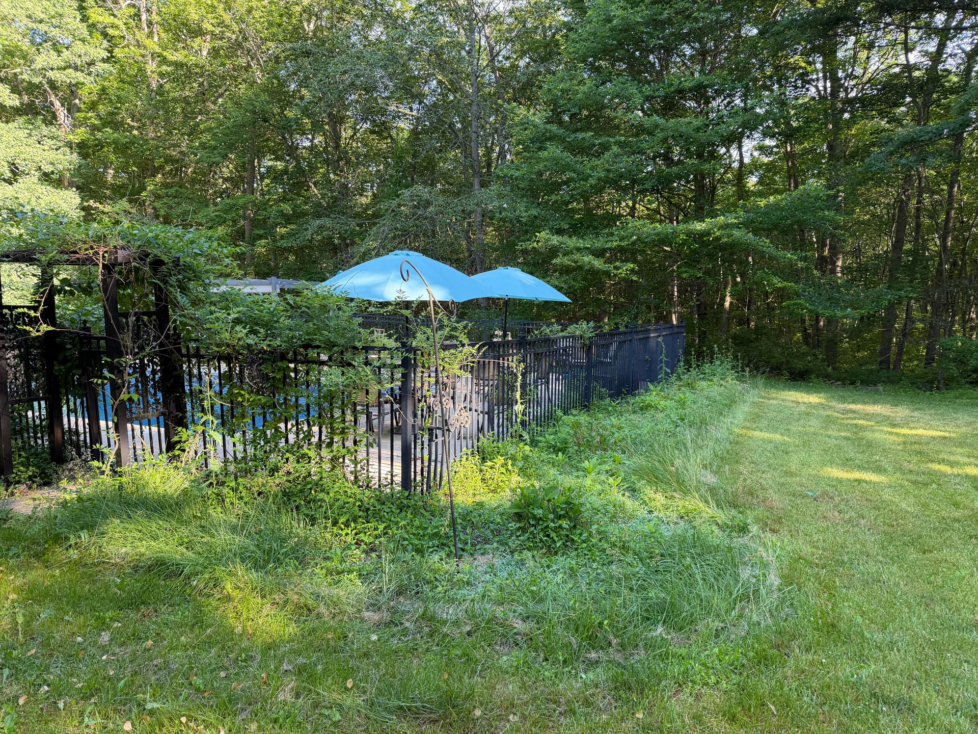 Gallery photos for Fresh Mulch and Weeding That Actually Makes a Difference: Image #1