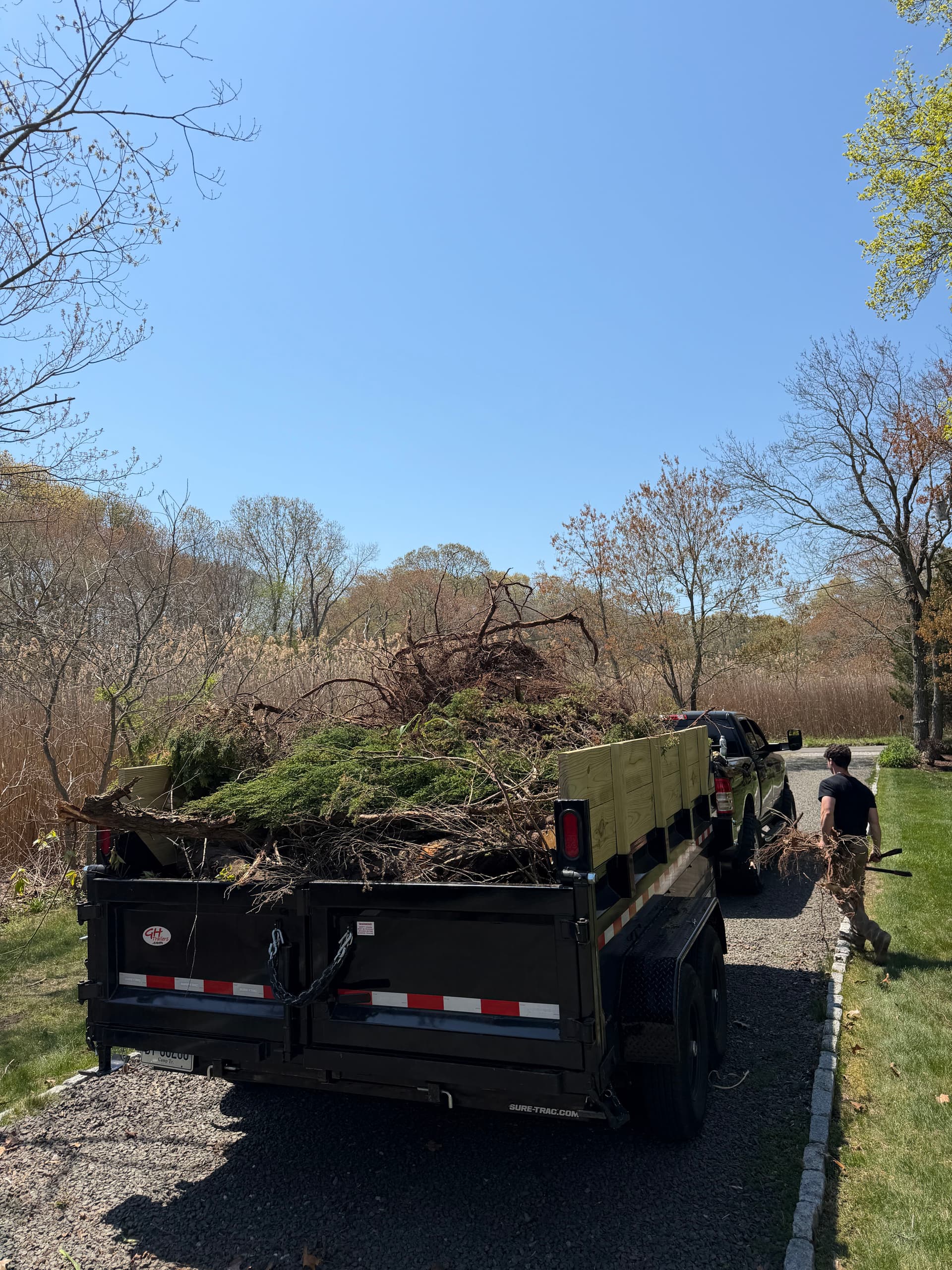 Gallery photos for Overgrown Shrub and Tree Removal in Madison: Image #3