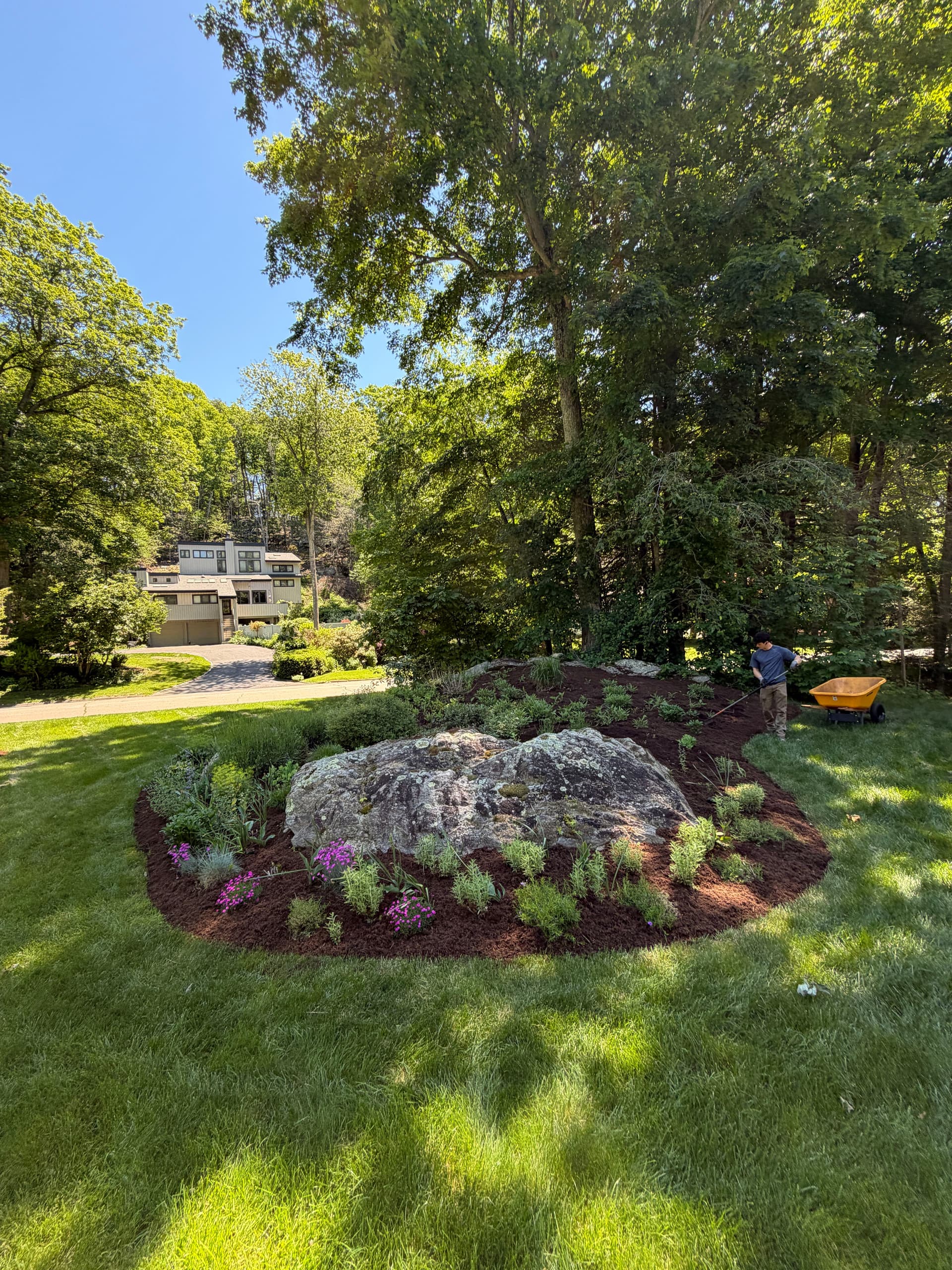 Gallery photos for Fresh Mulch Install Gives Madison CT Home Sharp Curb Appeal: Image #1