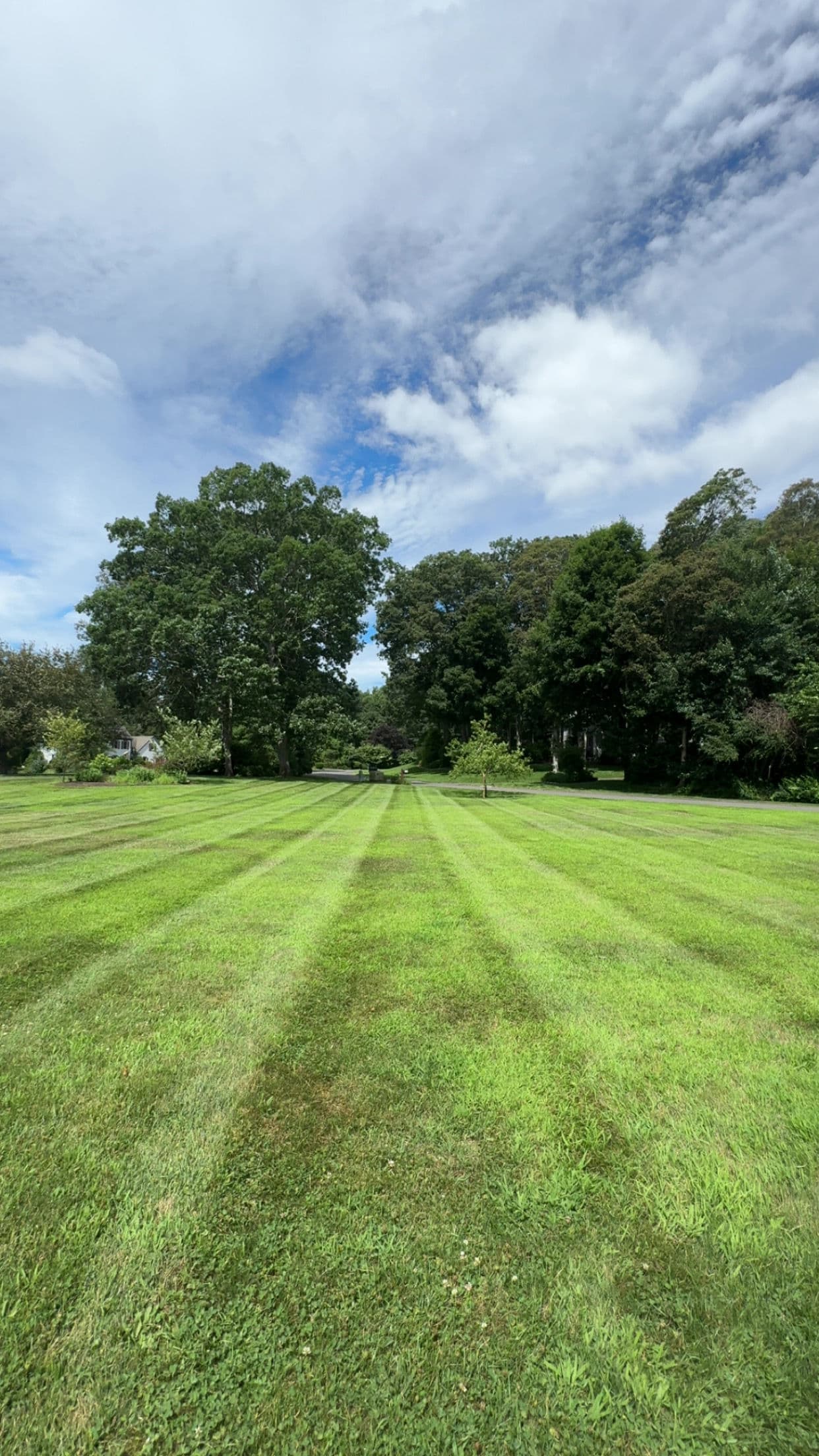 Perfectly Manicured Lawns in Madison CT image