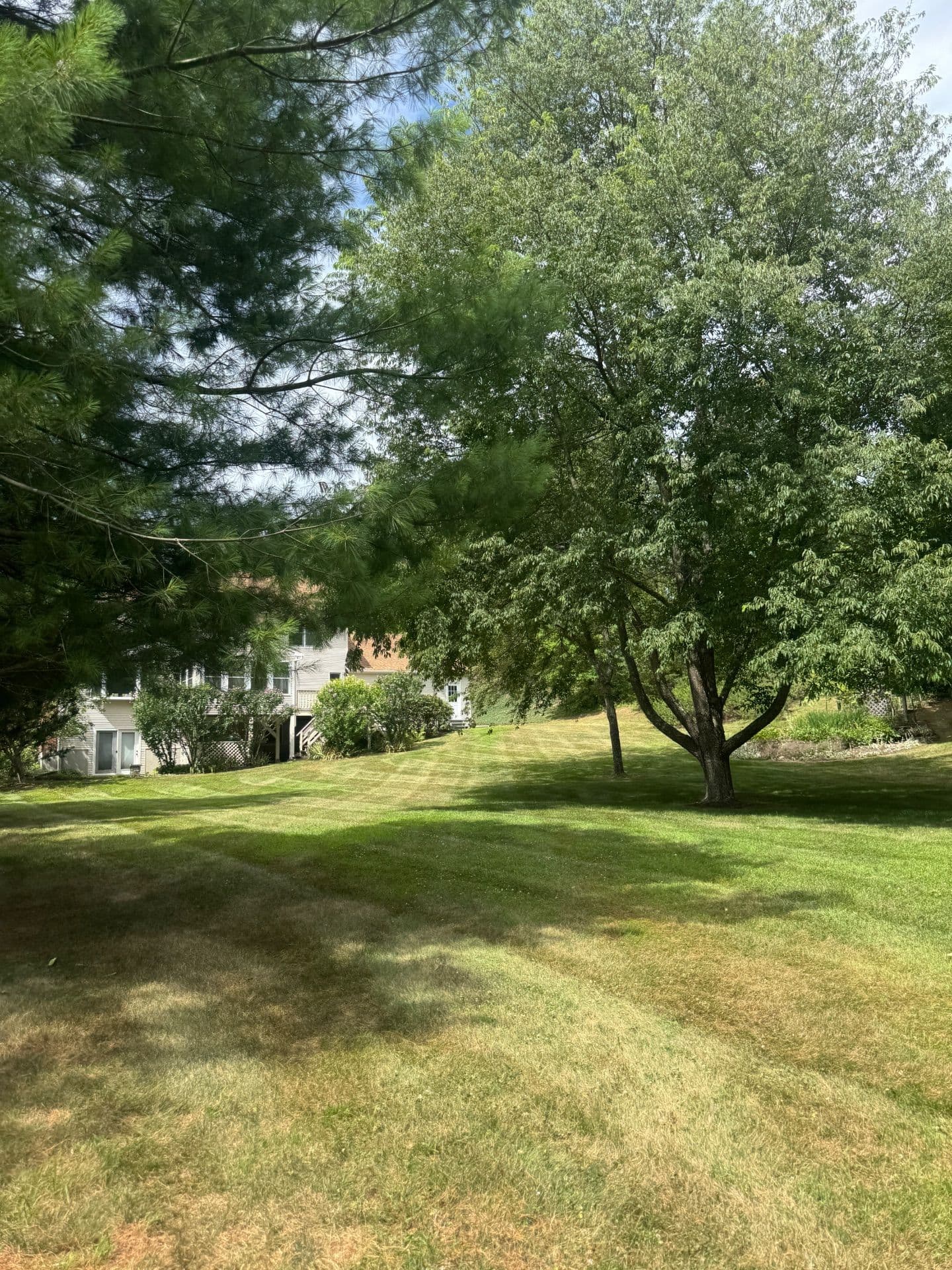 Gallery photos for Perfectly Manicured Lawns in Madison CT: Image #3