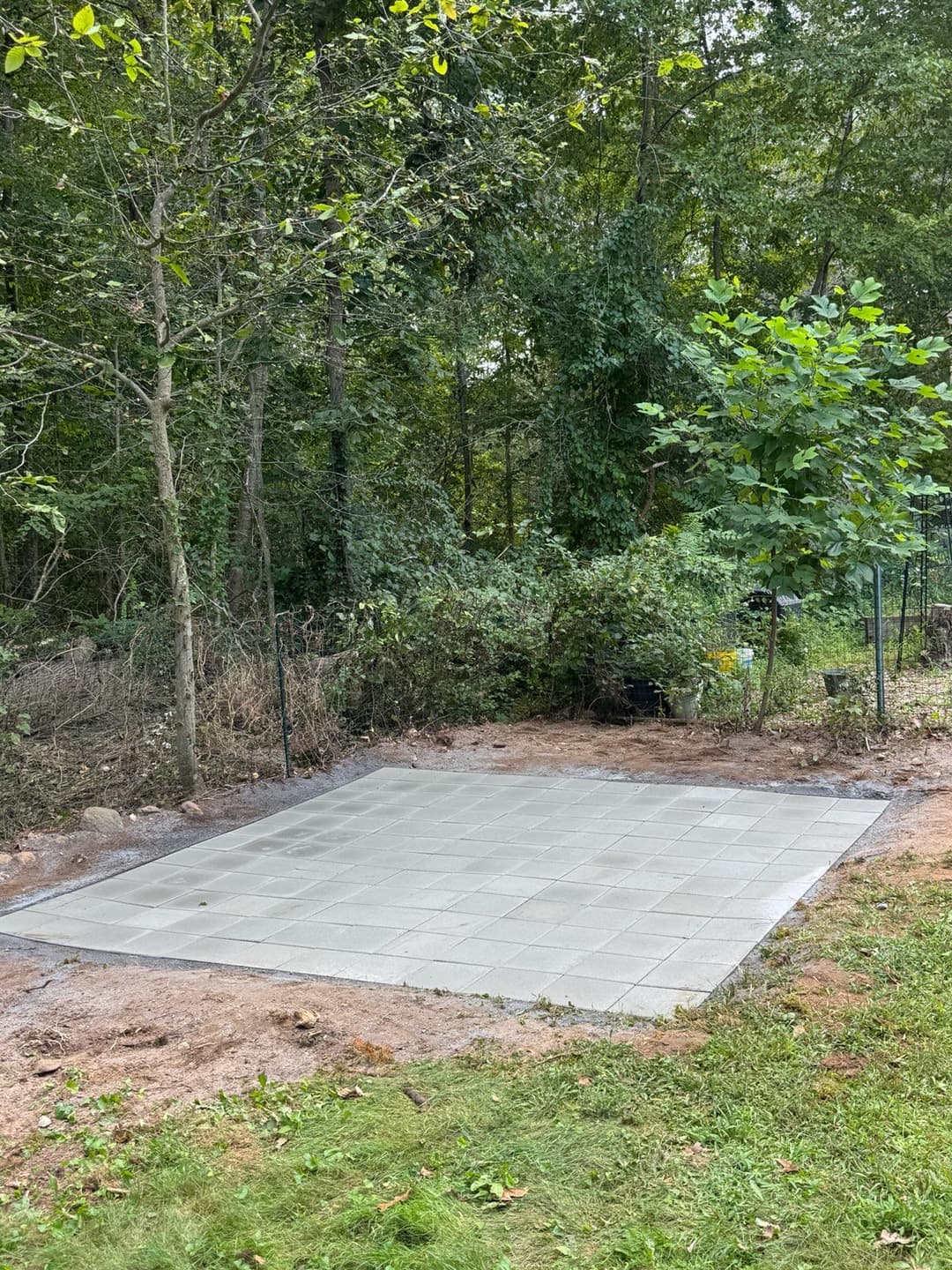 Concrete patio base surrounded by trees and greenery in a backyard setting.