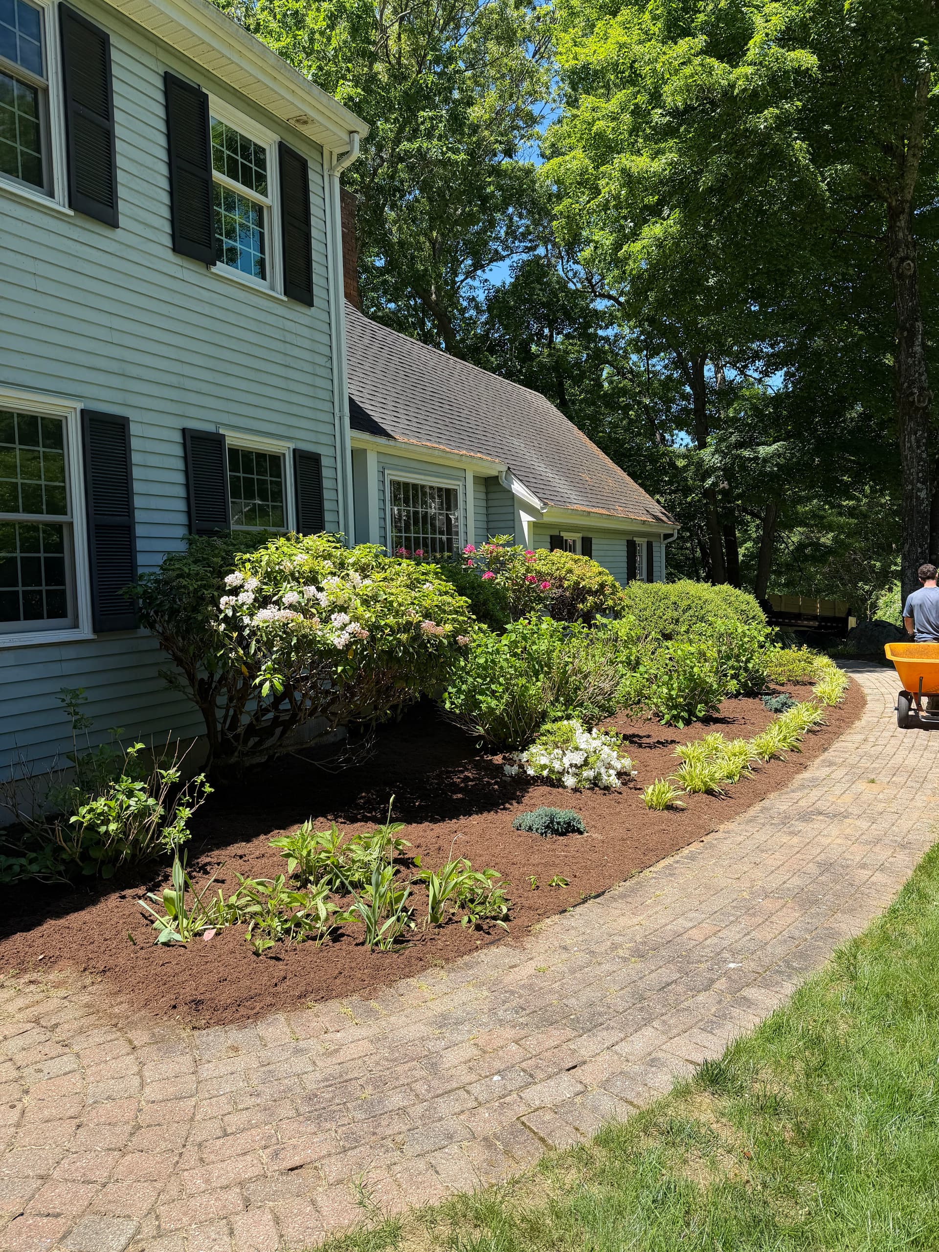 Gallery photos for Fresh Mulch Install Gives Madison CT Home Sharp Curb Appeal: Image #2