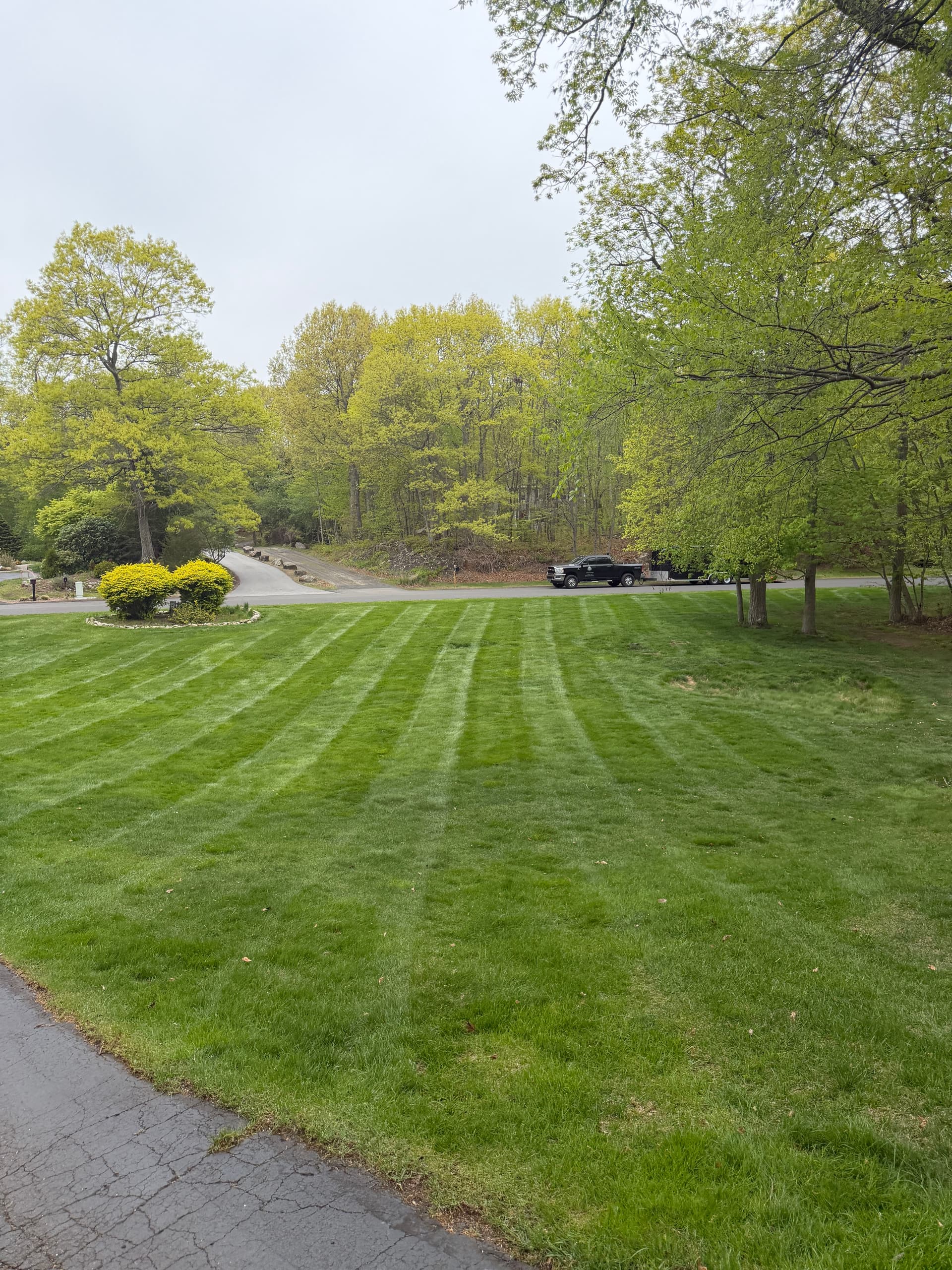 Gallery photos for Weekly Lawn Mowing That Keeps Your Yard Looking Sharp: Image #1