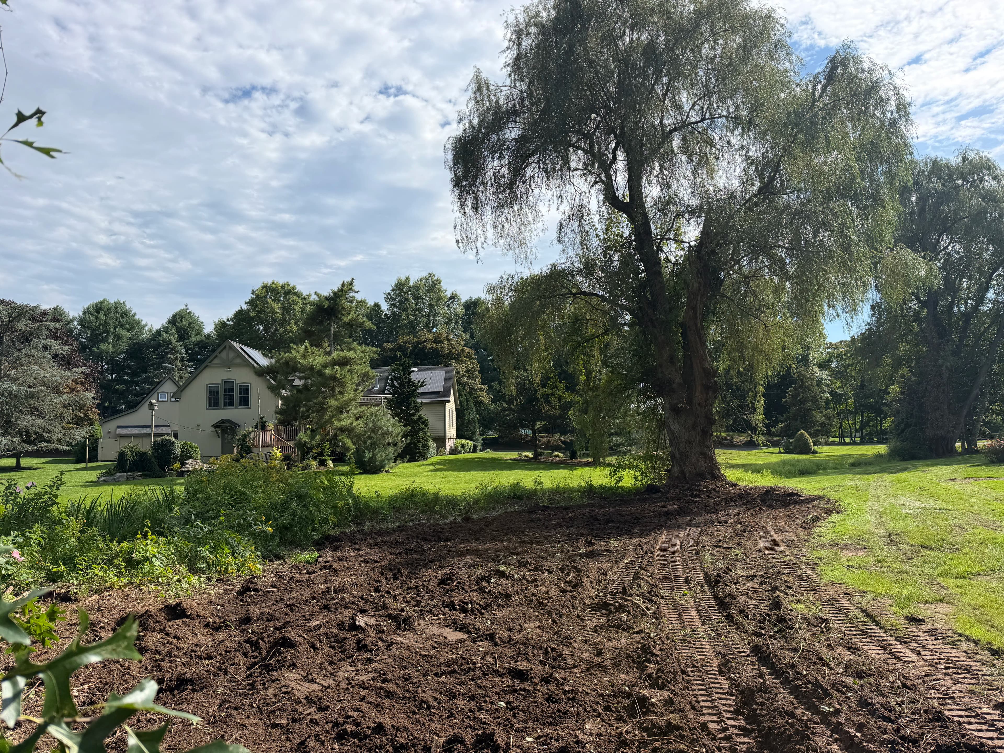 Project Overgrown Brush Cleared Out on a Guilford Property image
