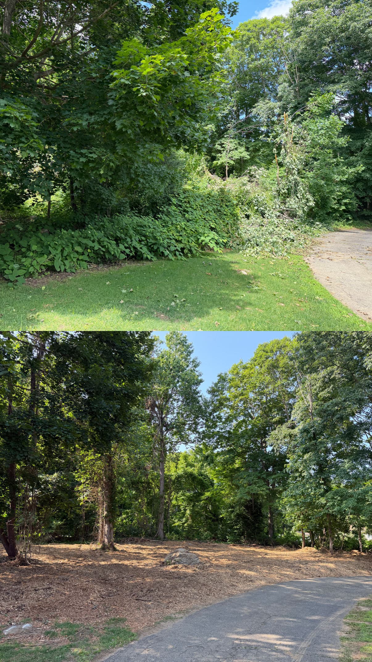 Gallery photos for Brush Clearing, Boulder Wall, and Fresh Wood Chips - Full Outdoor Overhaul: Image #1