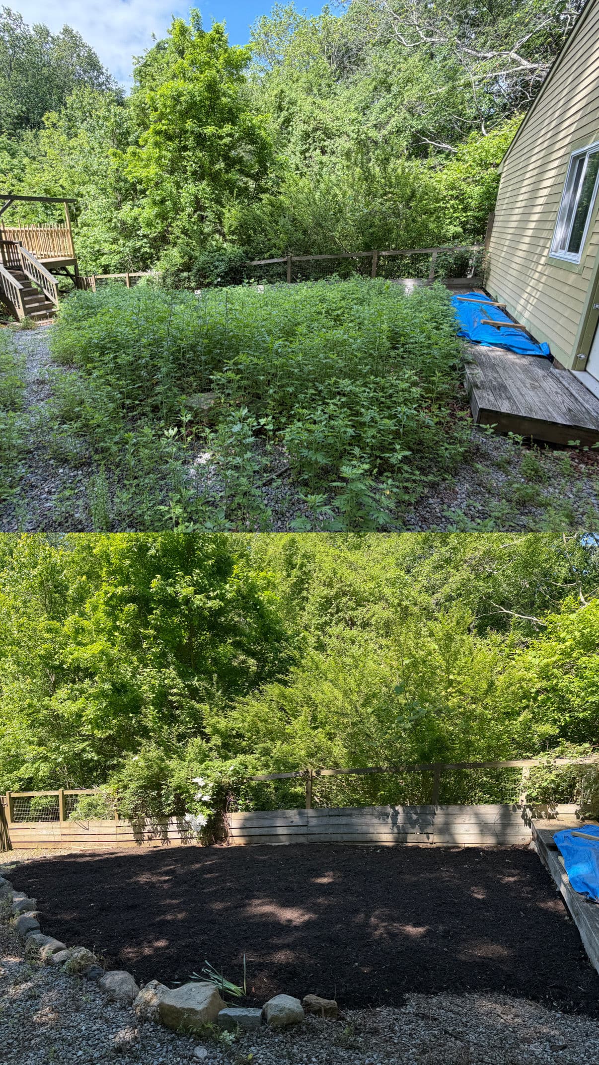 Gallery photos for Weedy Garden Beds Cleared and Freshly Mulched: Image #1