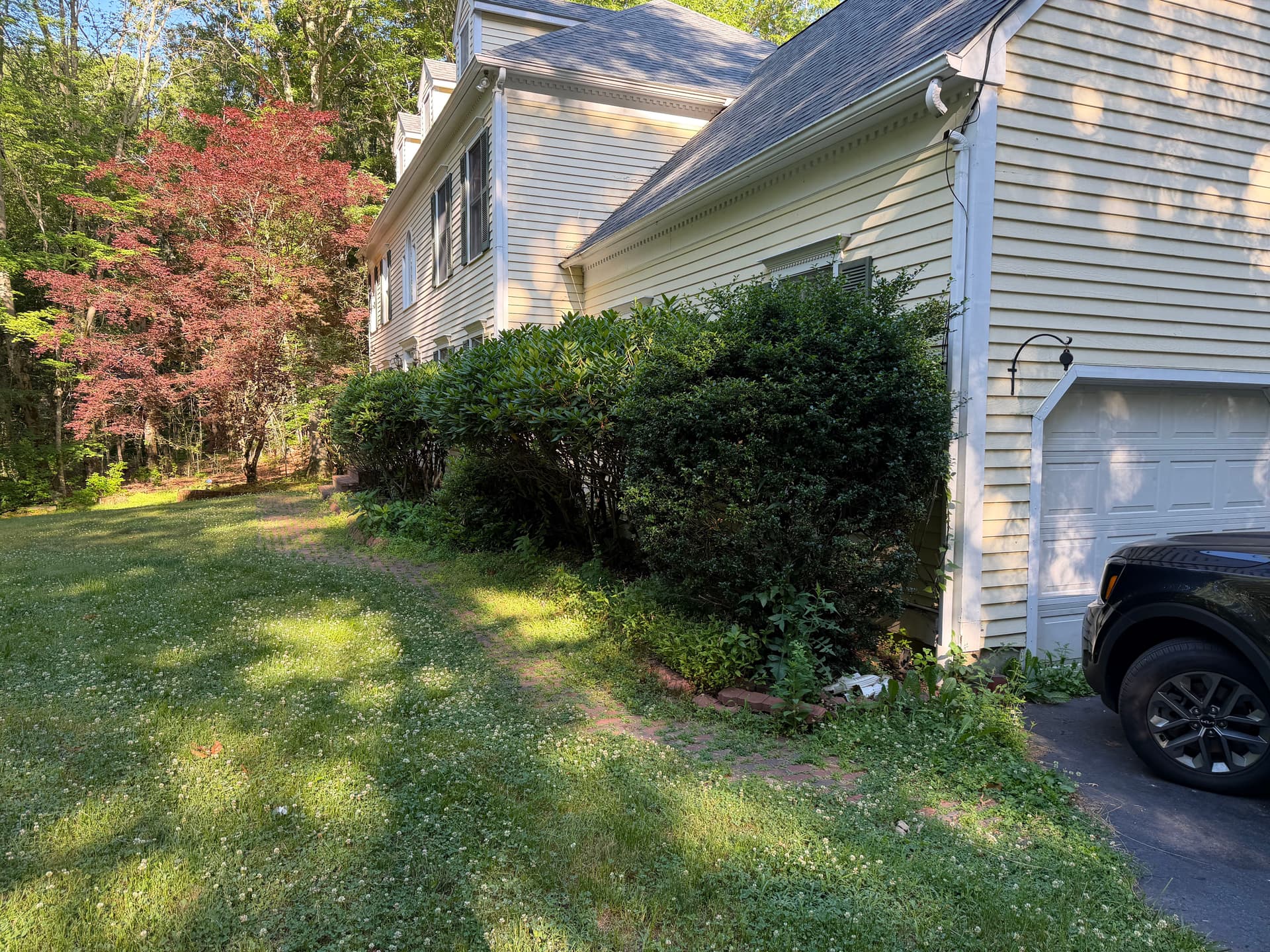 Gallery photos for Fresh Mulch and Weeding That Actually Makes a Difference: Image #2