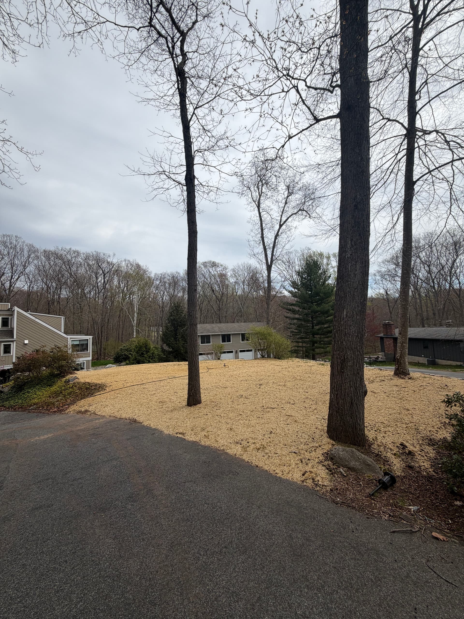 Lawn Renovation Underway in Madison CT image