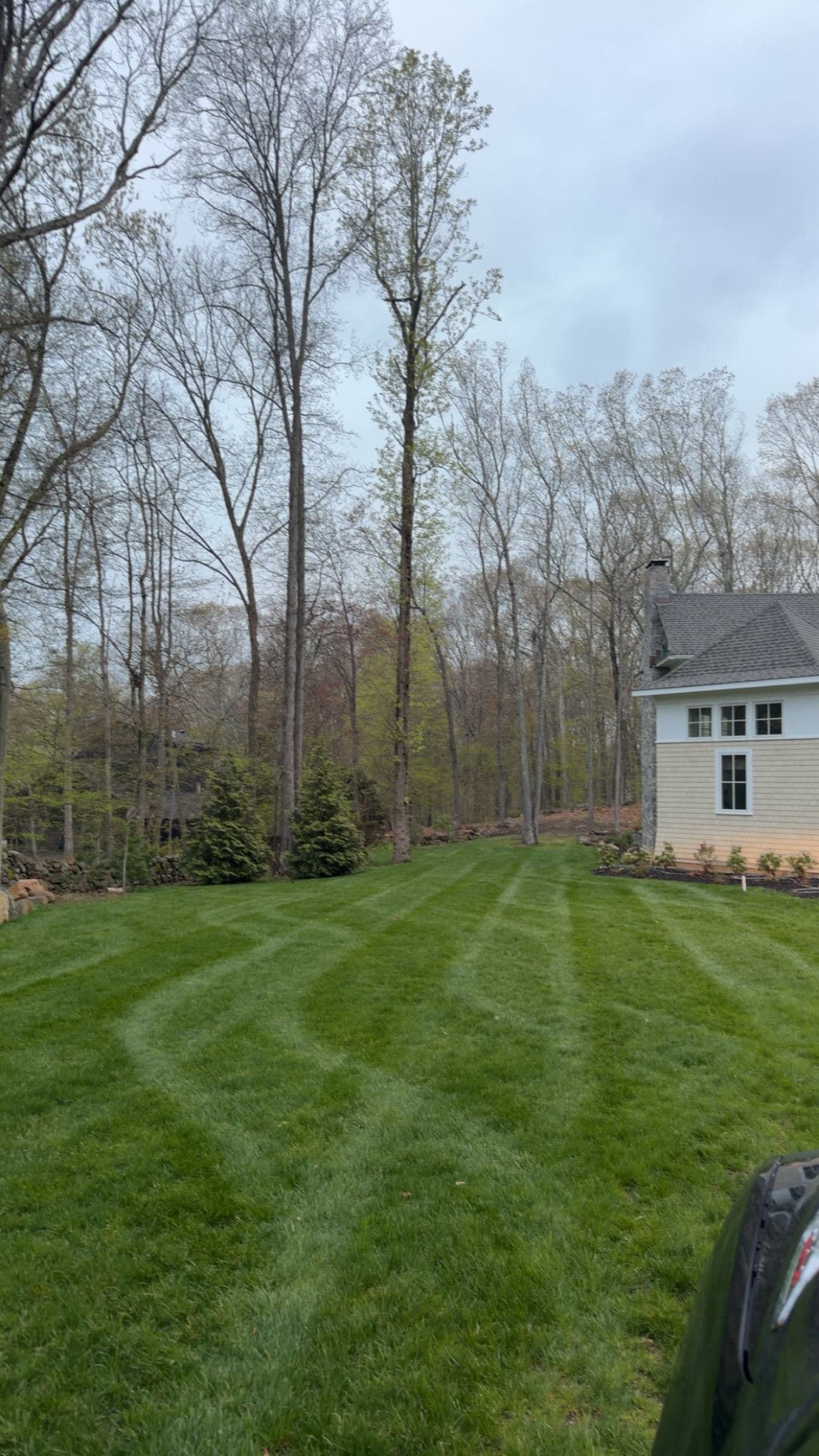 Weekly Lawn Mowing Service Keeping Madison CT Yards Sharp image