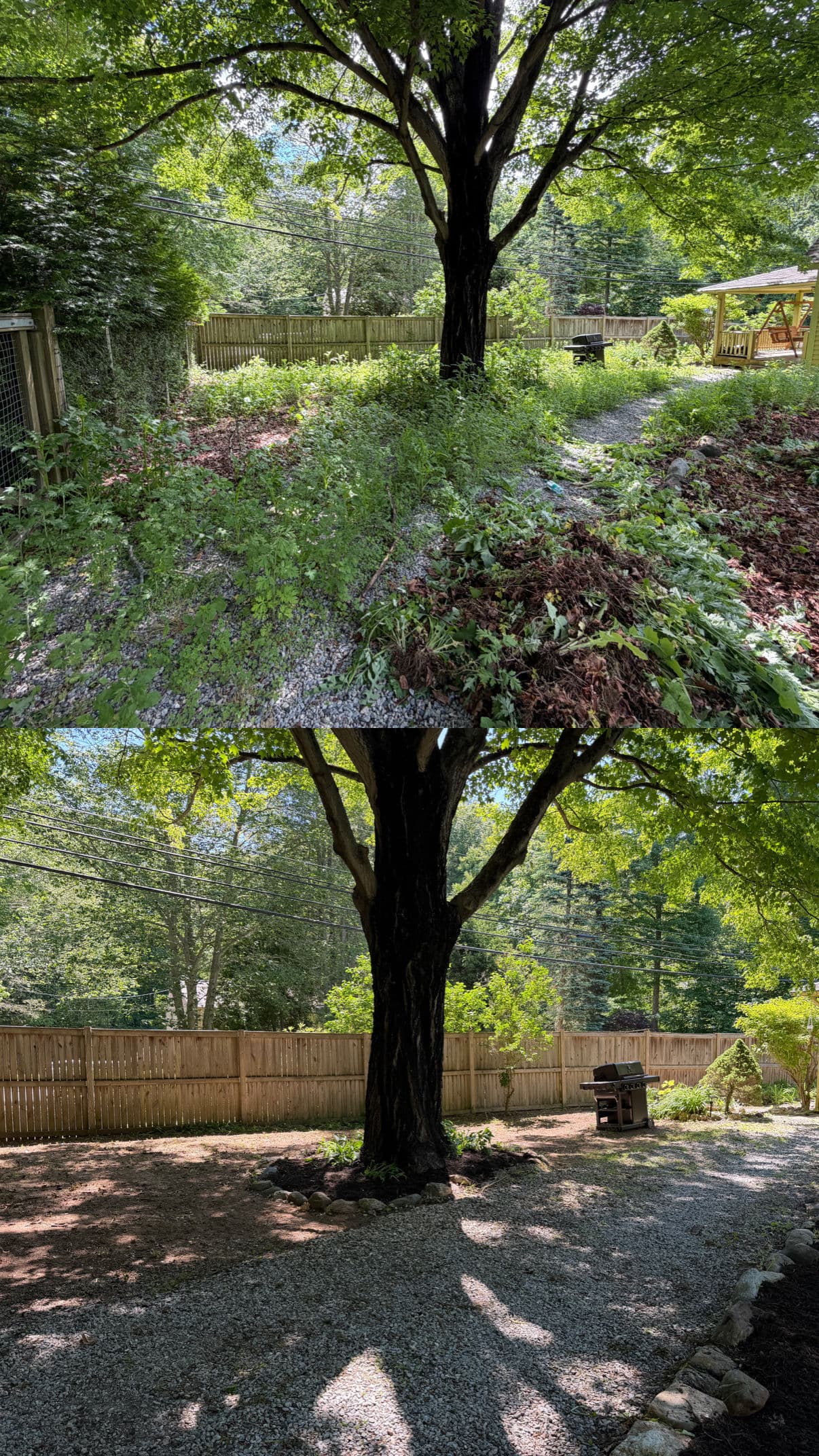 Project Weedy Garden Beds Cleared and Freshly Mulched image
