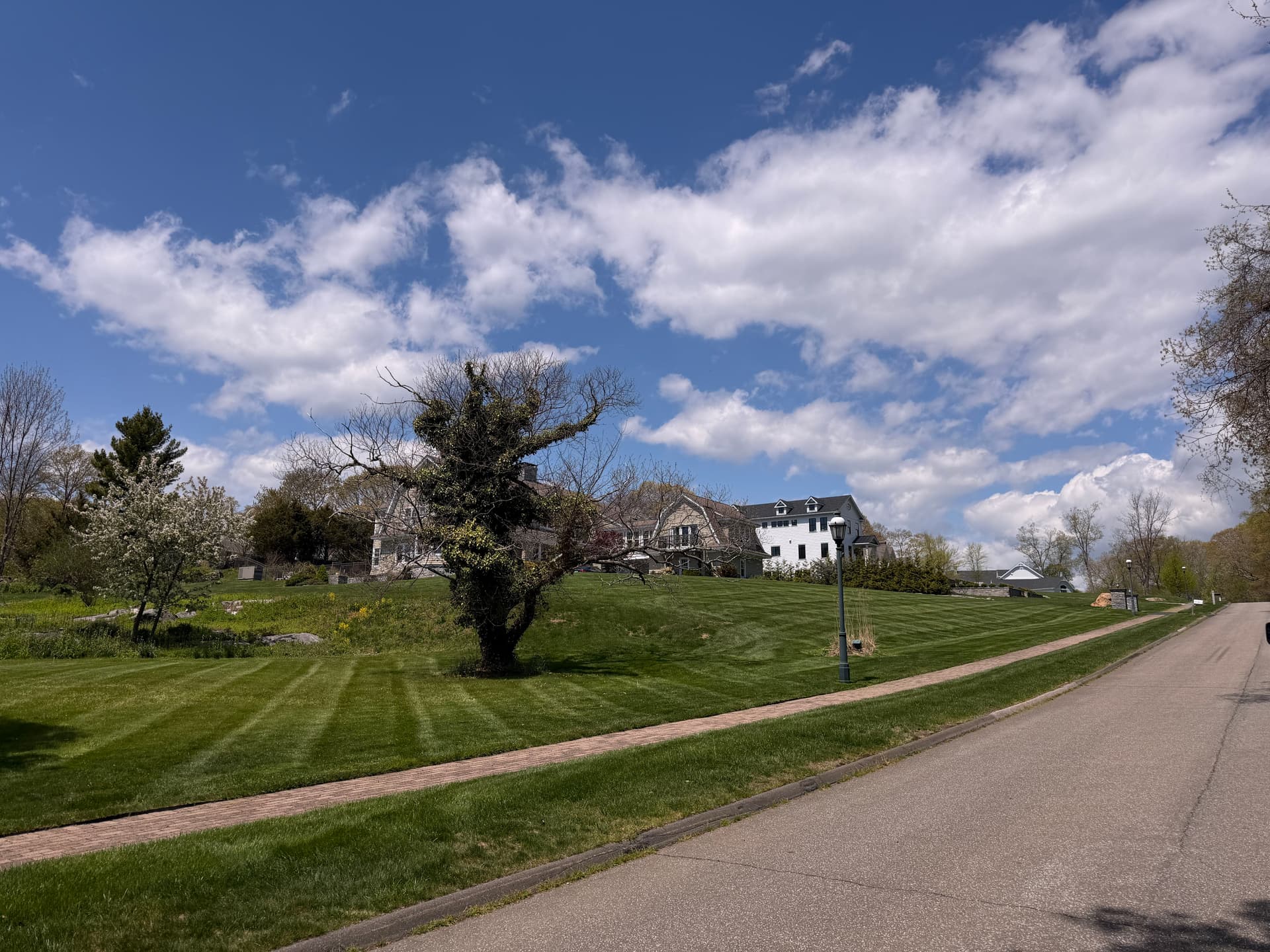 Gallery photos for Weekly Lawn Mowing Service Keeping Madison CT Yards Sharp: Image #1