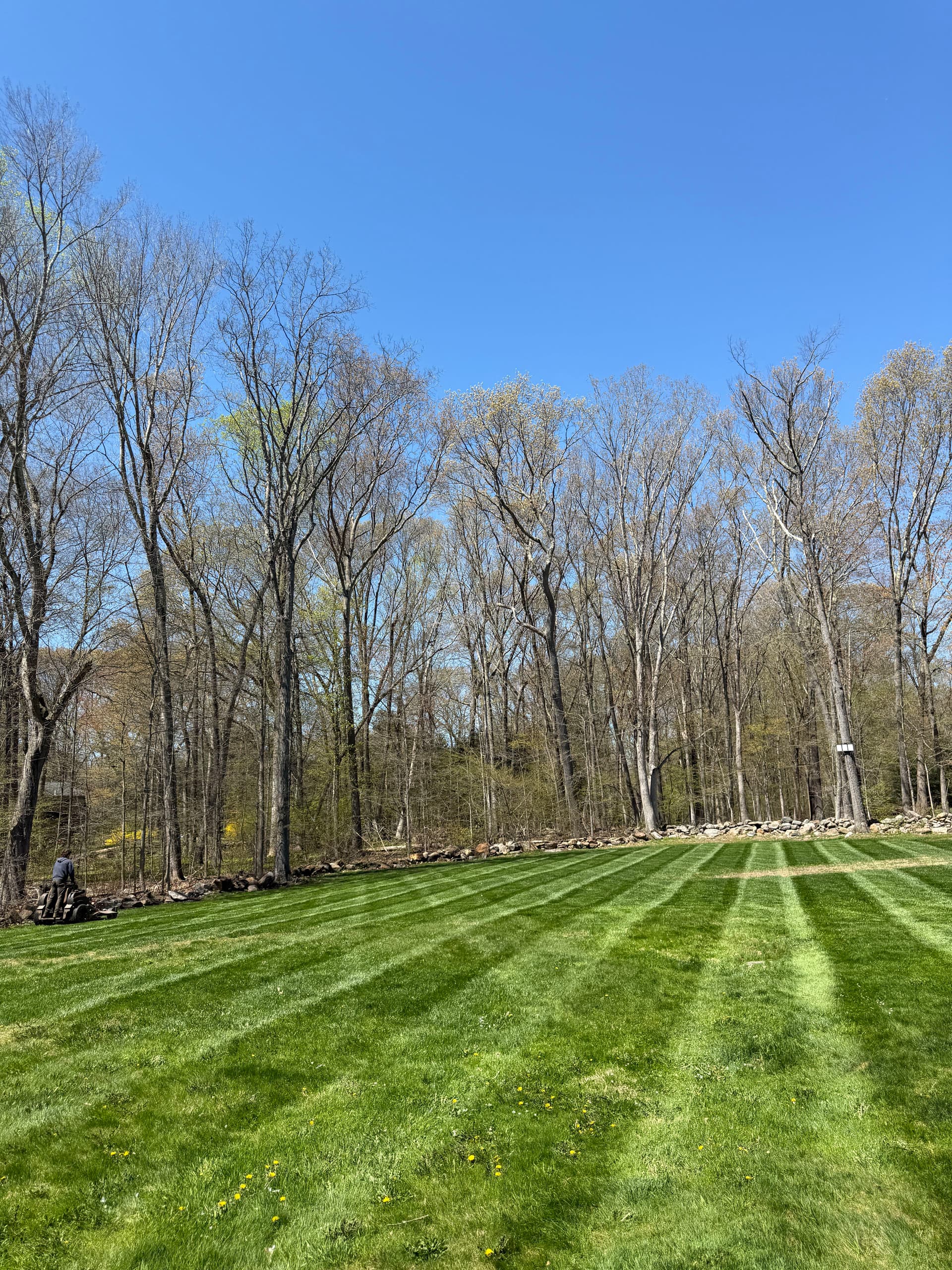 Gallery photos for Weekly Lawn Mowing Service in Madison CT That Delivers Real Results: Image #1