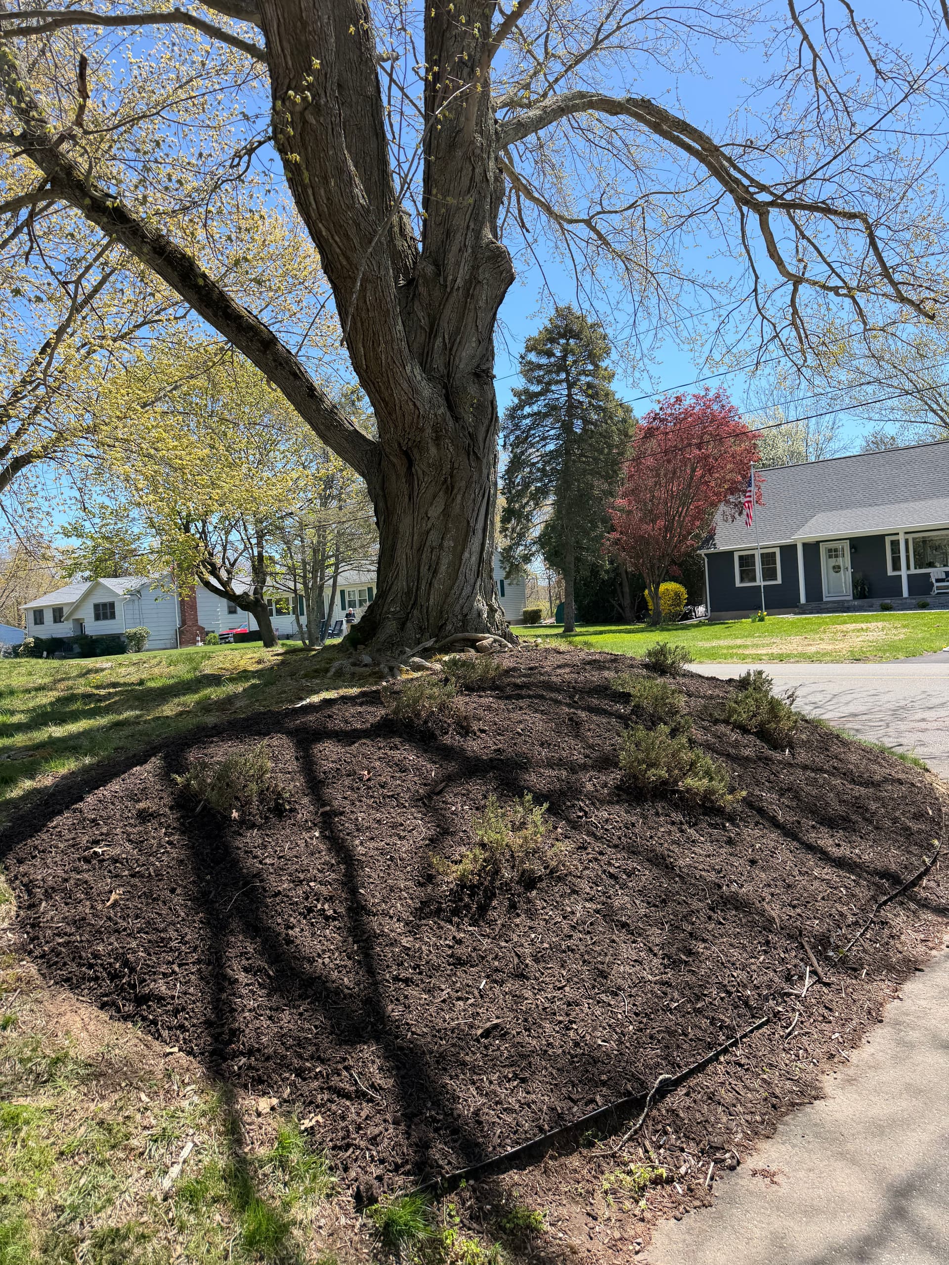 Gallery photos for Fresh Mulch and New Plantings in Madison CT: Image #2