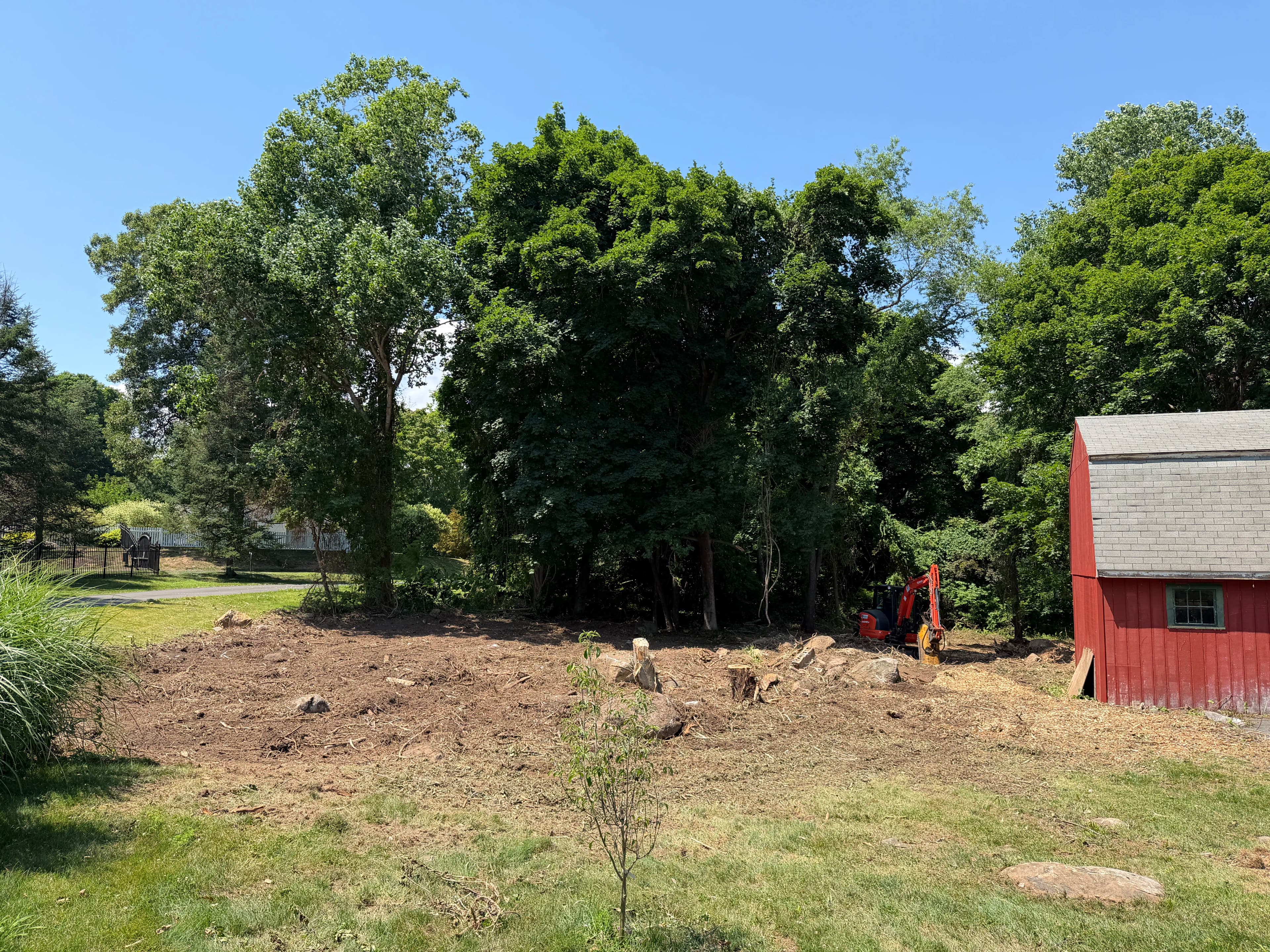 Project Forestry Mulching and Brush Clearing in Madison Opens Up Overgrown Property image