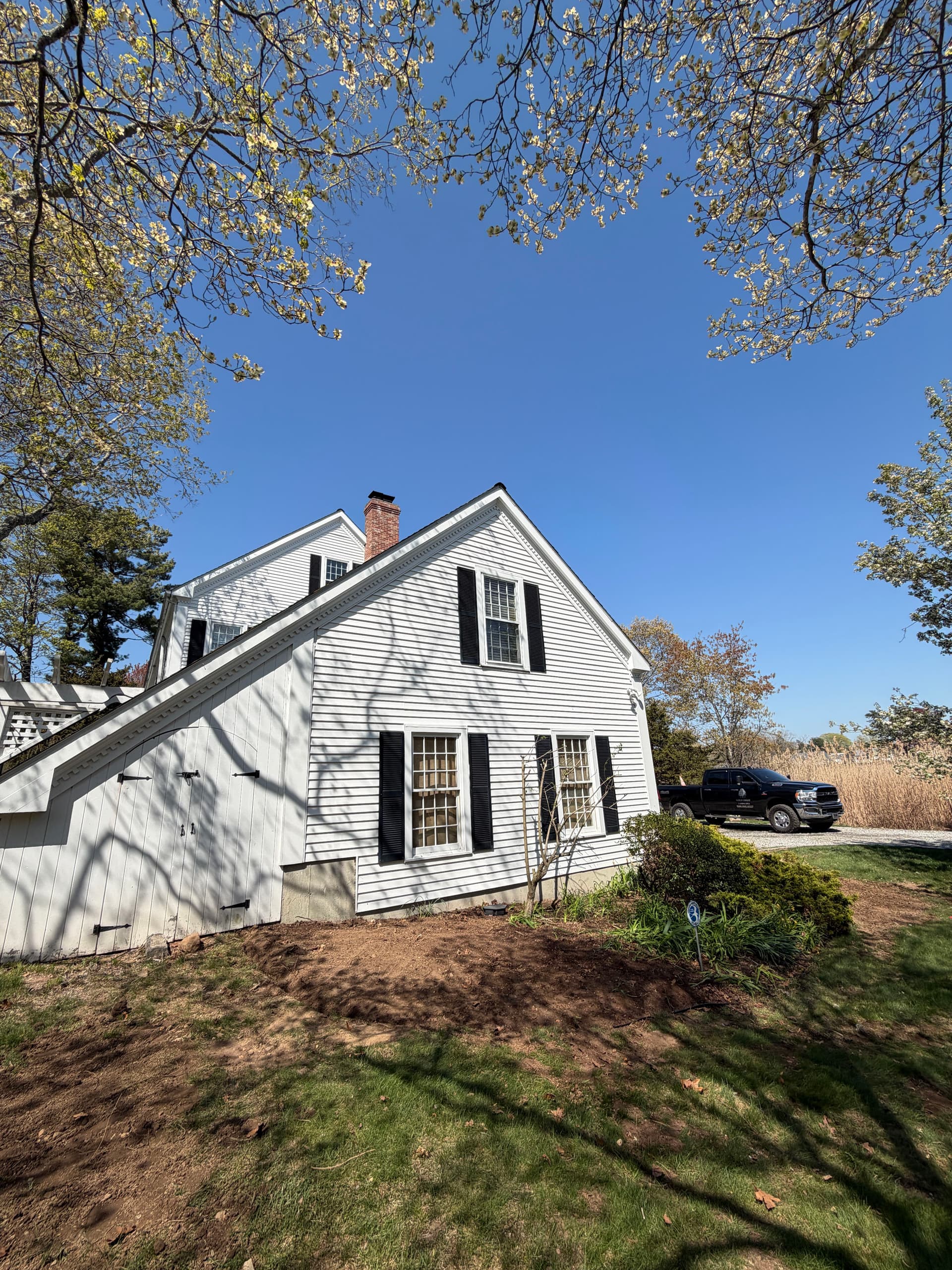 Gallery photos for Overgrown Shrub and Tree Removal in Madison: Image #1
