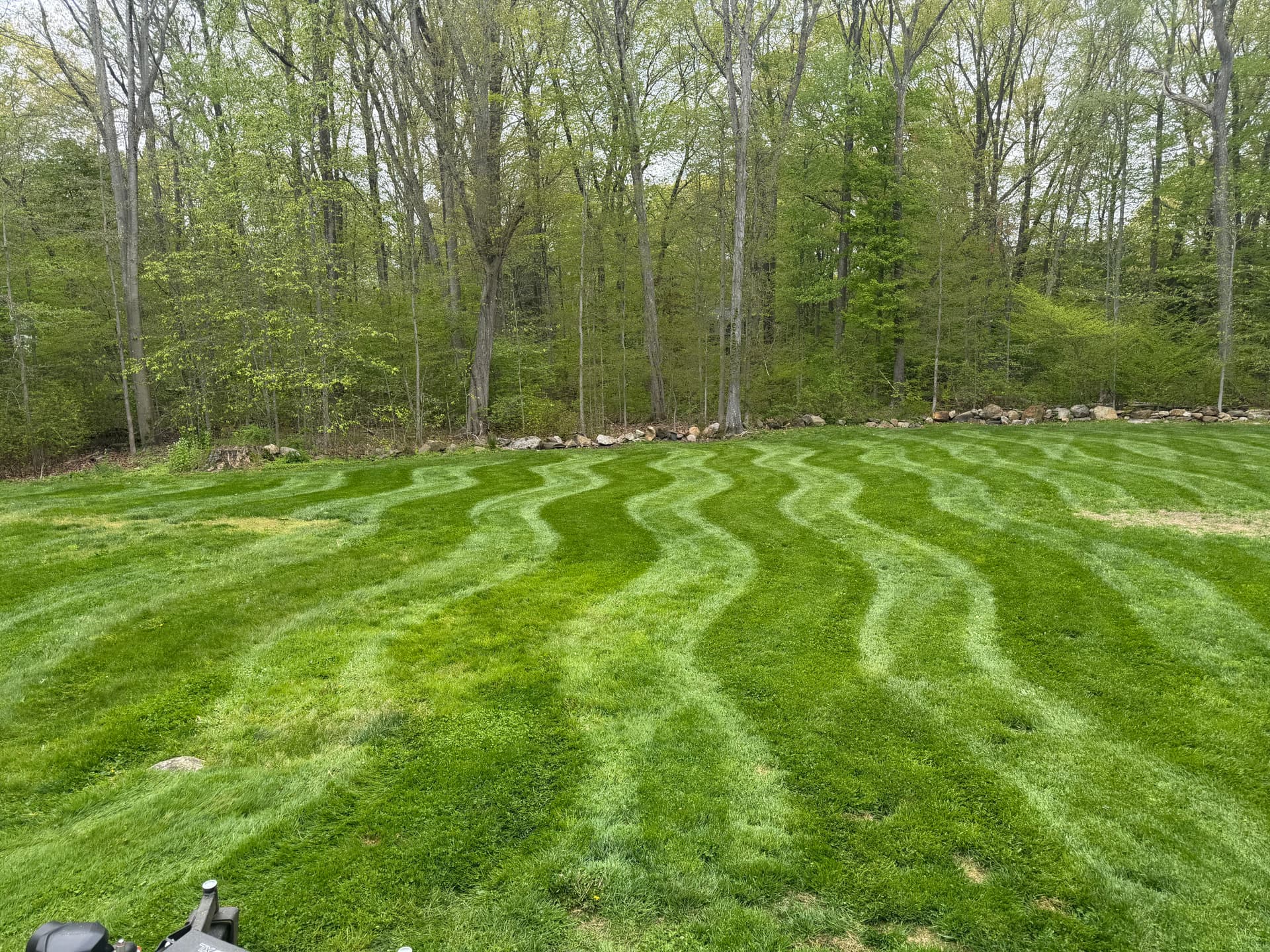 Weekly Lawn Mowing That Keeps Your Yard Looking Sharp image