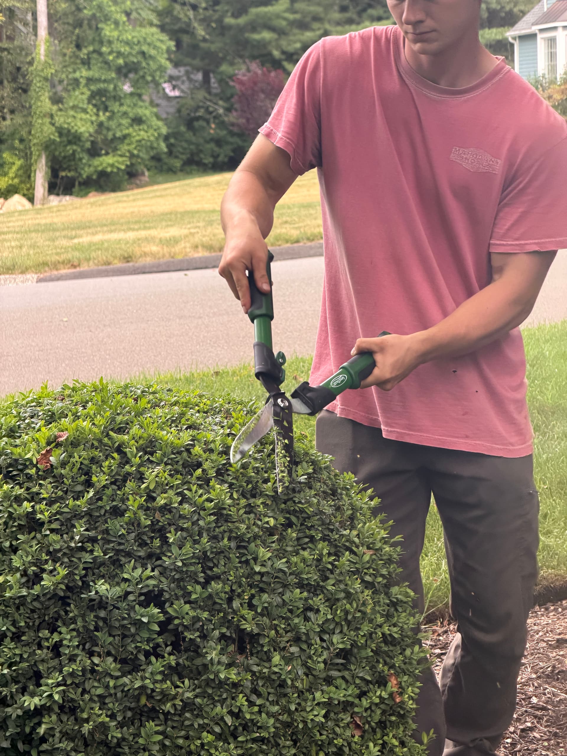 Hedge Pruning That Keeps Shrubs Healthy and Sharp All Year image