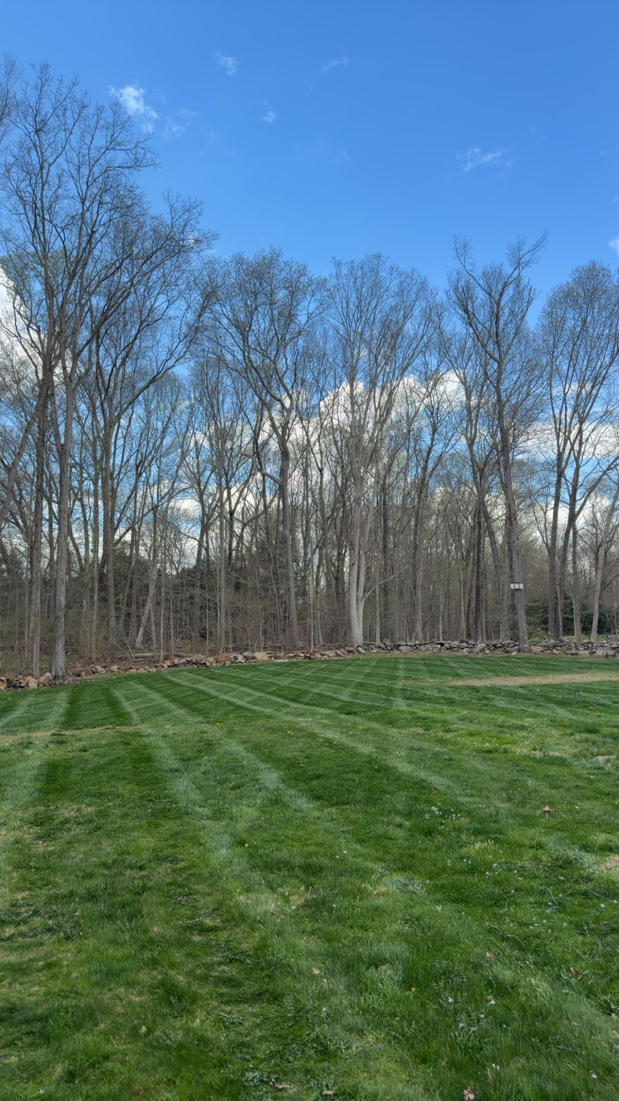 Gallery photos for Weekly Lawn Mowing in Madison CT That Actually Shows: Image #2