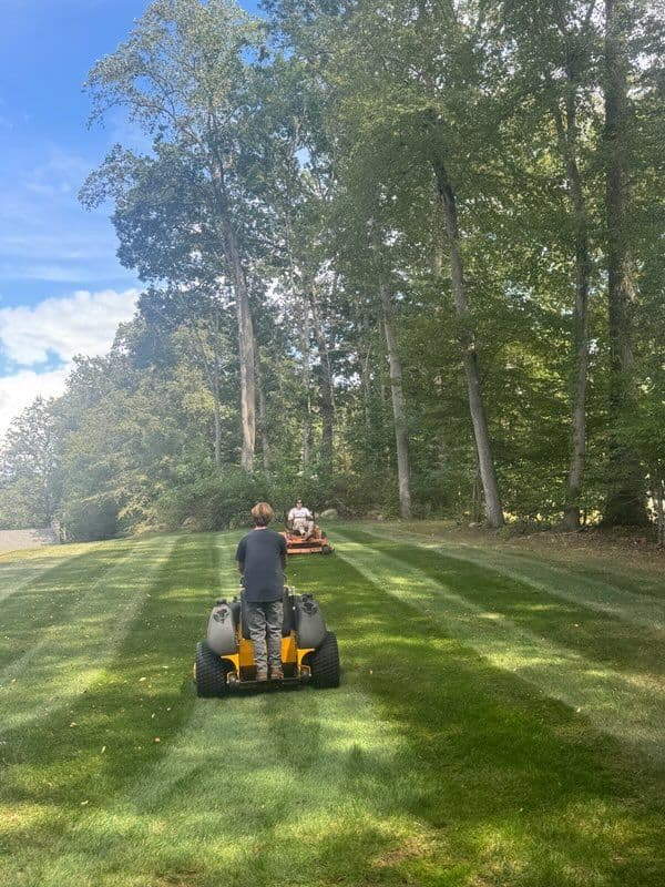 Weekly Mowing for Perfect CT Shoreline Lawns image