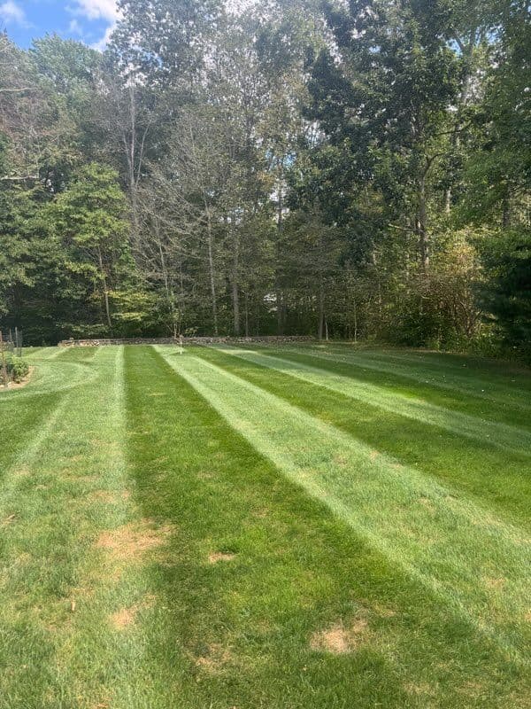 Gallery photos for Weekly Mowing for Perfect CT Shoreline Lawns: Image #3