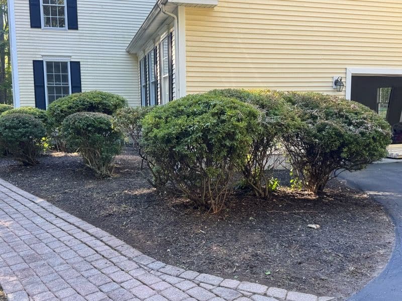 Gallery photos for Garden Bed Cleanup in Madison CT for Lush Appeal: Image #2