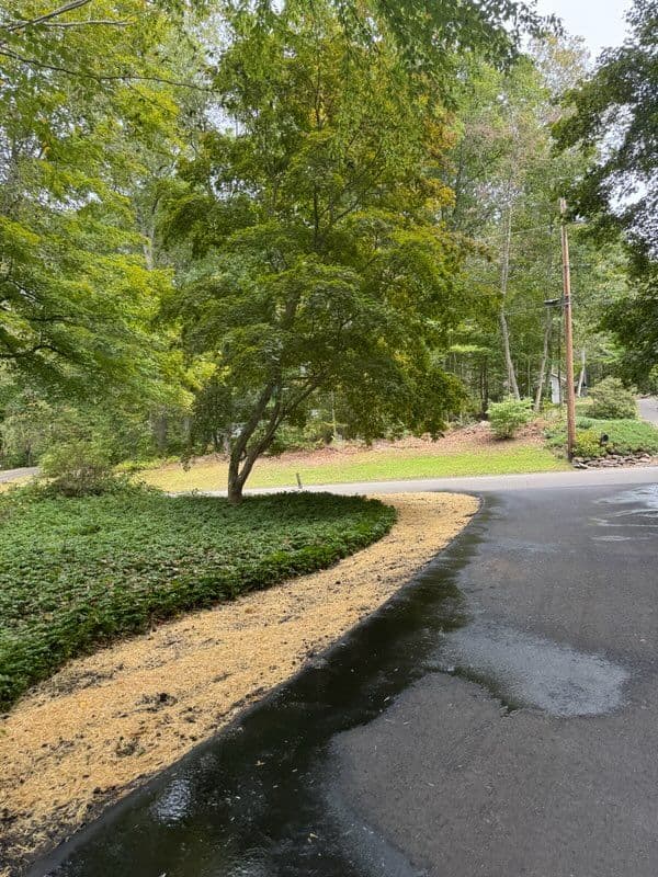Gallery photos for Driveway and Lawn Renewal for Stunning Curb Appeal: Image #1
