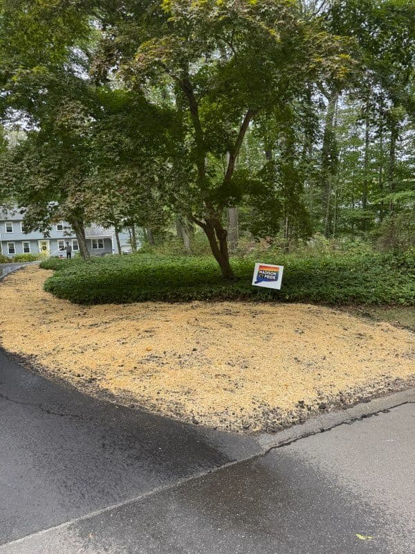 Gallery photos for Driveway and Lawn Renewal for Stunning Curb Appeal: Image #3