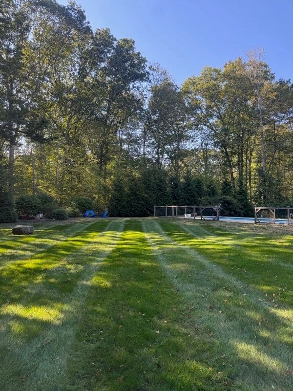 Project Revitalize Your Lawn with Expert Care image