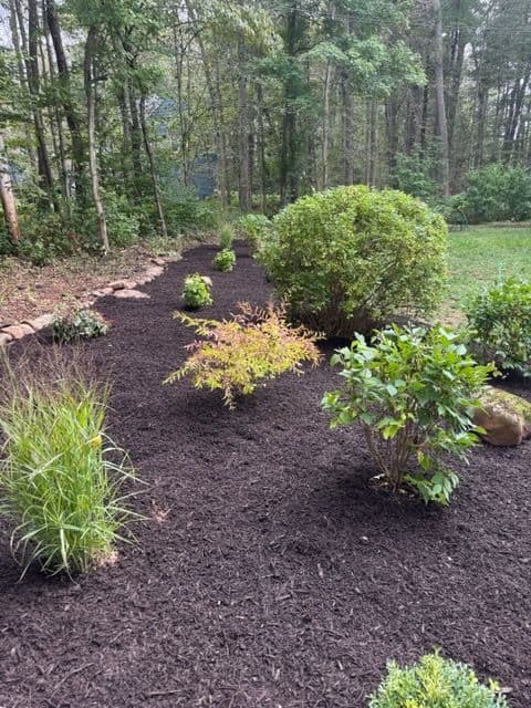 Stunning Garden Transformation in Madison image