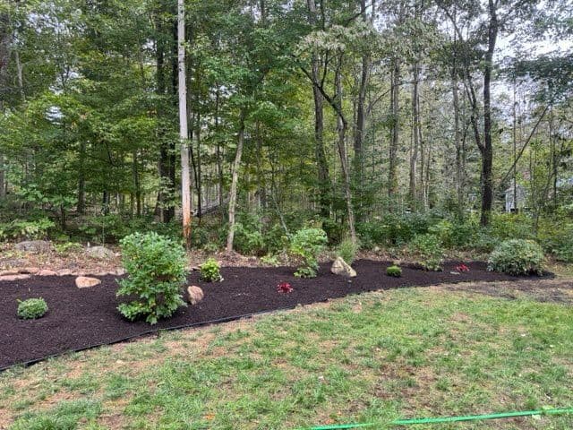 Gallery photos for Stunning Garden Transformation in Madison: Image #1
