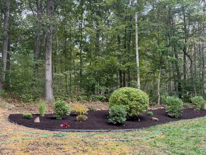 Gallery photos for Stunning Garden Transformation in Madison: Image #2