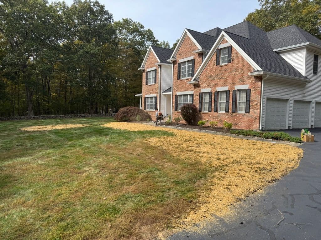 Gallery photos for Lawn Transformation in Killingworth: Image #1