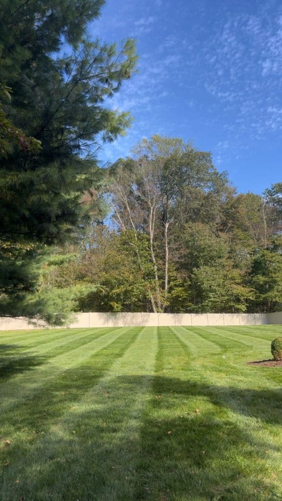 Beautiful Lawn Maintenance by Gold Coast Landscapes in Madison image