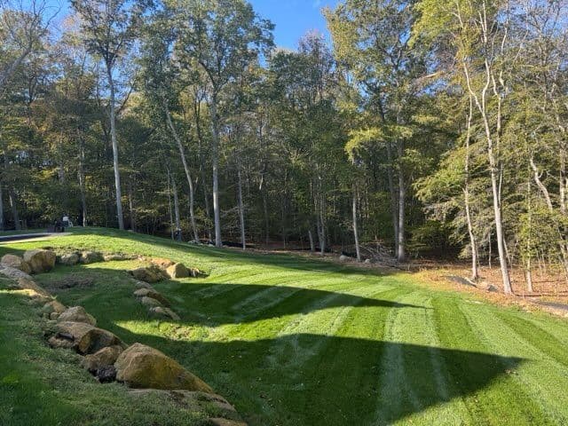 Gallery photos for Beautiful Lawn Maintenance by Gold Coast Landscapes in Madison: Image #1