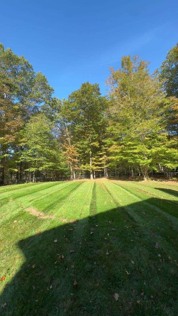 Gallery photos for Beautiful Lawn Maintenance by Gold Coast Landscapes in Madison: Image #2