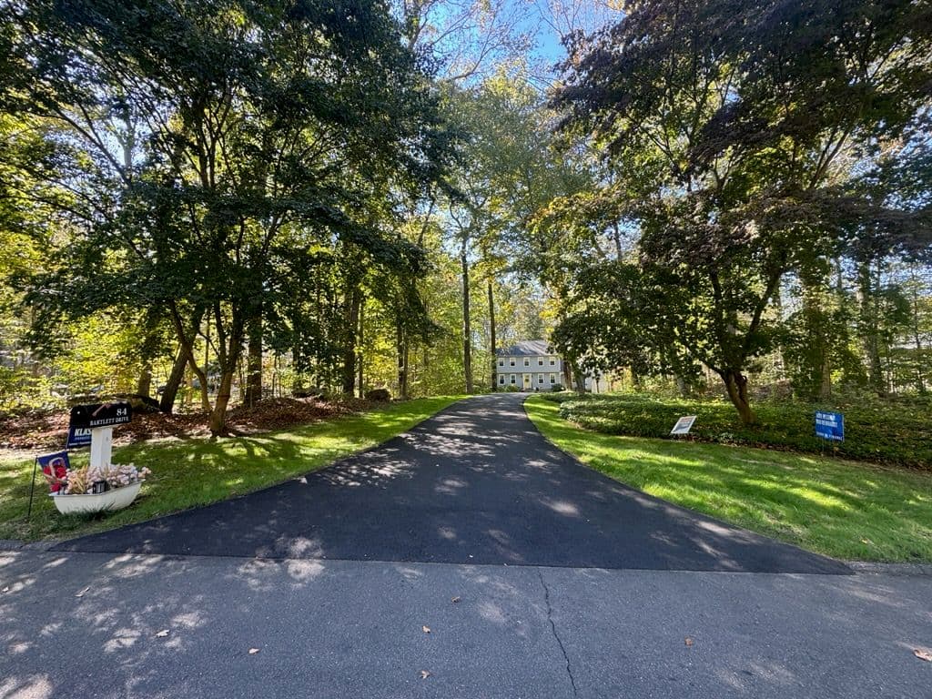 Seeding Success for a Lush Driveway image