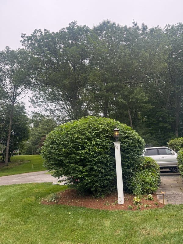 Lush Landscape Transformation in Madison CT