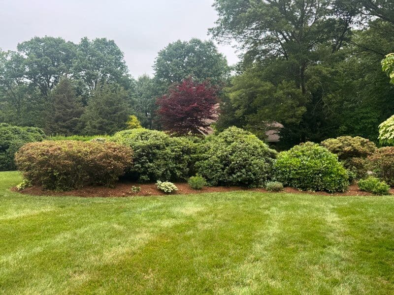 Lush Landscape Transformation in Madison CT