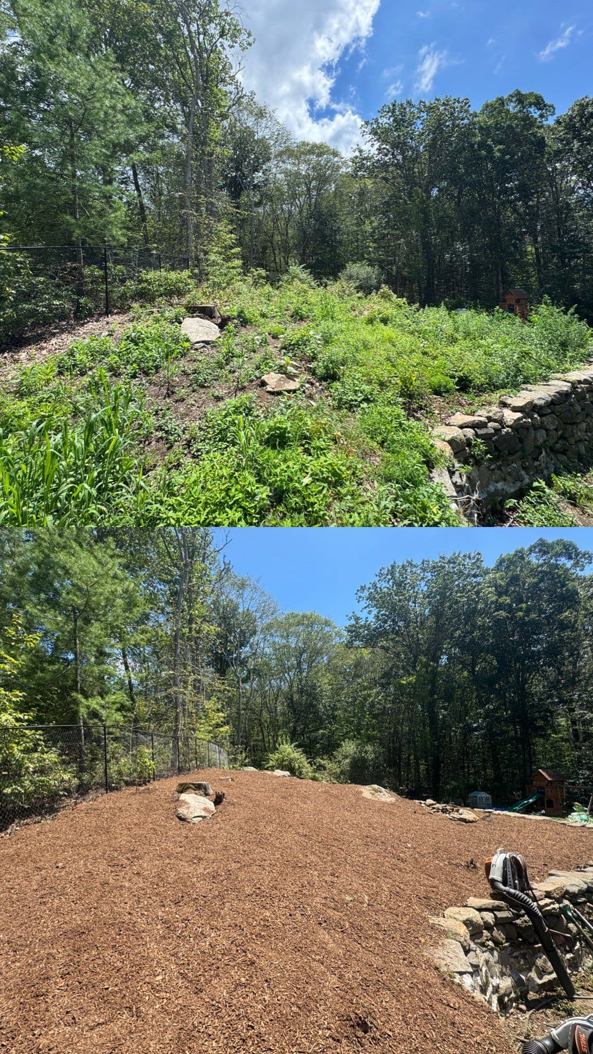 Brush Clearing and Mulch Transformation in Madison image