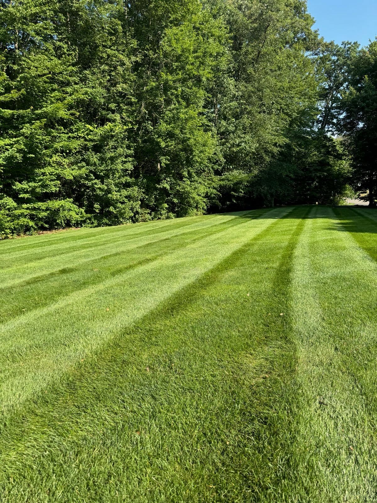 Beautifully Maintained Lawn Adds Value and Charm image