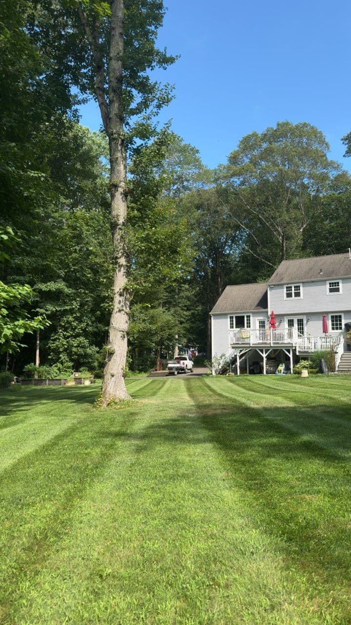 Stunning Lawn Transformation in Madison CT image