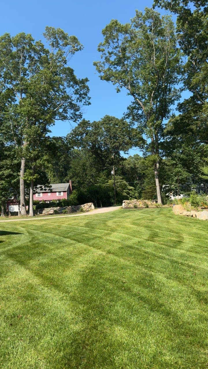 Gallery photos for Stunning Lawn Transformation in Madison CT: Image #2