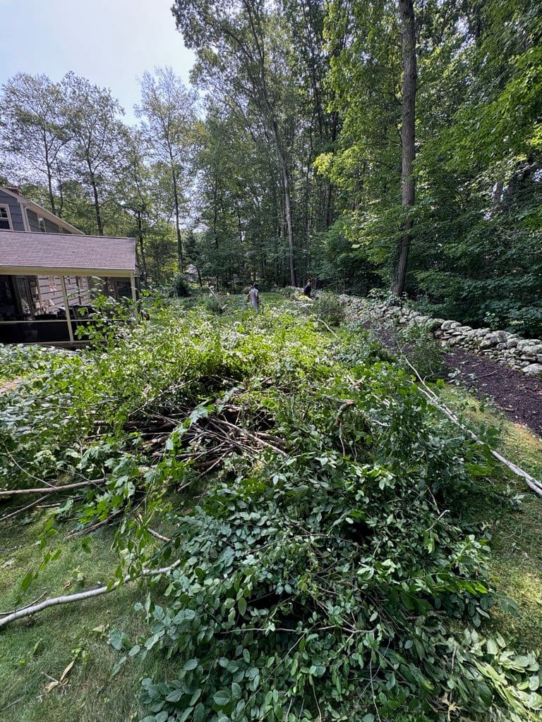 Storm Cleanup and Tree Removal Expertise image