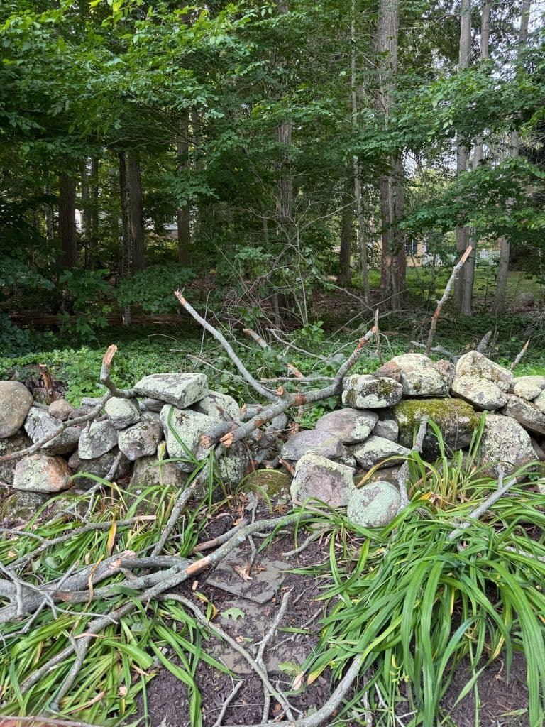 Gallery photos for Storm Cleanup and Tree Removal Expertise: Image #1