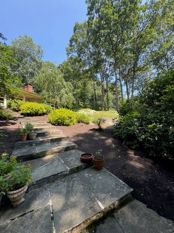 Project Serene Landscape Makeover in Madison image