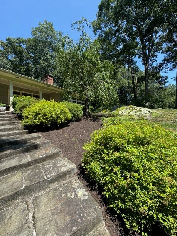 Gallery photos for Serene Landscape Makeover in Madison: Image #1