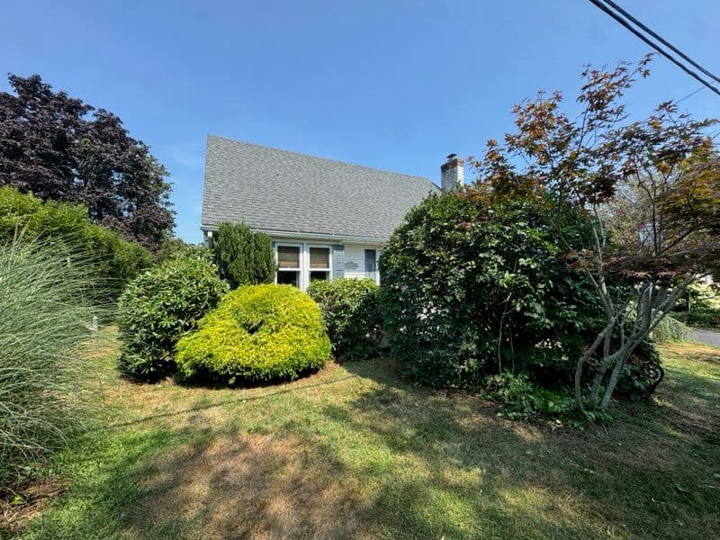 Lush Landscape Transformation in Madison CT image