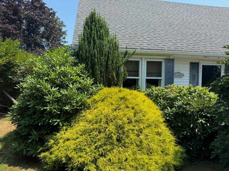 Gallery photos for Lush Landscape Transformation in Madison CT: Image #2