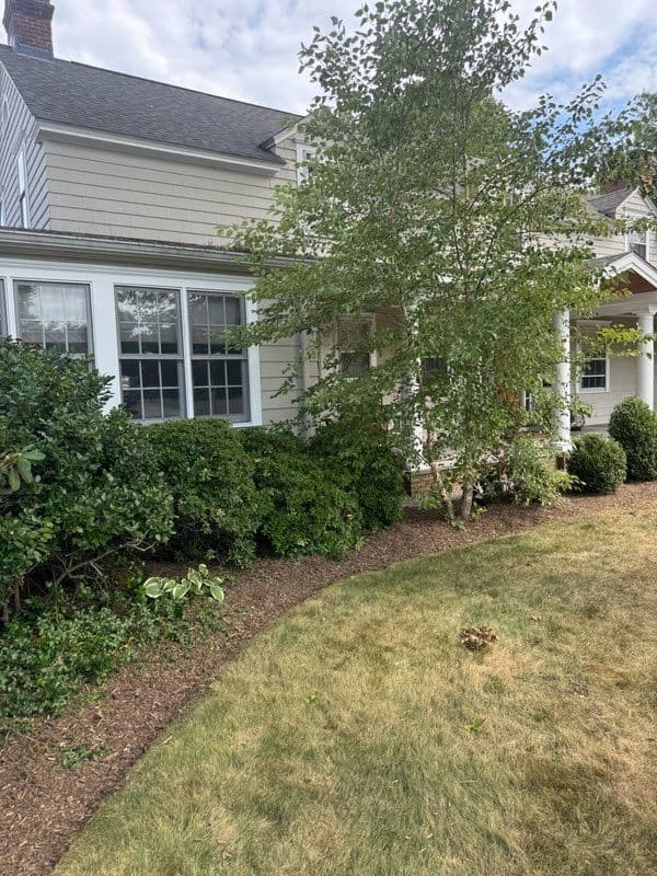 Gallery photos for Garden Oasis and Path Installation in Old Saybrook: Image #3